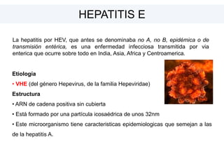 Etiología
• VHE (del género Hepevirus, de la familia Hepeviridae)
Estructura
• ARN de cadena positiva sin cubierta
• Está formado por una partícula icosaédrica de unos 32nm
• Este microorganismo tiene caracteristicas epidemiologicas que semejan a las
de la hepatitis A.
La hepatitis por HEV, que antes se denominaba no A, no B, epidémica o de
transmisión entérica, es una enfermedad infecciosa transmitida por via
enterica que ocurre sobre todo en India, Asia, Africa y Centroamerica.
HEPATITIS E
 