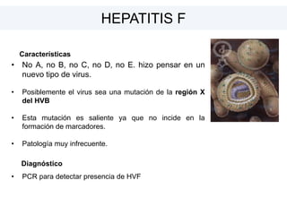 Características
• No A, no B, no C, no D, no E. hizo pensar en un
nuevo tipo de virus.
• Posiblemente el virus sea una mutación de la región X
del HVB
• Esta mutación es saliente ya que no incide en la
formación de marcadores.
• Patología muy infrecuente.
Diagnóstico
• PCR para detectar presencia de HVF
HEPATITIS F
 