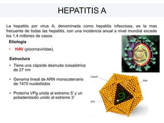 Etiología
• HAV (picornaviridae).
HEPATITIS A
La hepatitis por virus A, denominada como hepatitis infecciosa, es la mas
frecuente de todas las hepatitis, con una incidencia anual a nivel mundial excede
los 1.4 millones de casos.
Estructura
• Tiene una cápside desnuda icosaédrica
de 27 nm
• Genoma lineal de ARN monocatenario
de 7470 nucleótidos
• Proteína VPg unida al extremo 5' y un
poliadenósido unido al extremo 3'
 