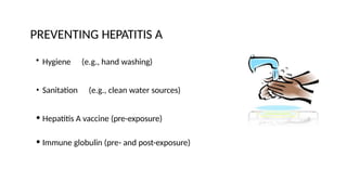 PREVENTING HEPATITIS A
• Hygiene (e.g., hand washing)
• Sanitation (e.g., clean water sources)
• Hepatitis A vaccine (pre-exposure)
• Immune globulin (pre- and post-exposure)
 