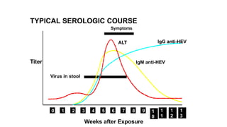 TYPICAL SEROLOGIC COURSE
Symptoms
ALT IgG anti-HEV
IgM anti-HEV
Virus in stool
0 1 2 3 4 5 6 7 8 9 1
0
1
1
1
2
1
3
Titer
Weeks after Exposure
 