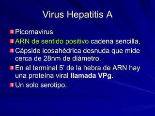 Virus Hepatitis A Picornavirus  ARN de sentido positivo  cadena sencilla,  Cápside icosahédrica desnuda que mide cerca de 28nm de diámetro. En el terminal 5’ de la hebra de ARN hay una proteína viral  llamada VPg .  Un solo serotipo. 