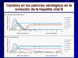 Cambios en los patrones serológicos en la evolución de la hepatitis viral B 