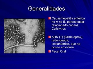 Generalidades Causa hepatitis entérica no A no B, parece estar relacionado con los Calicivirus ARN (+) (34nm aprox), redondeada, icosahédrico, que no posee envoltura Fecal Oral 