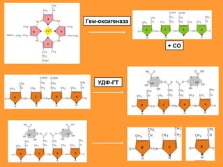 + CO
Гем-оксигеназа
УДФ-ГТ
 