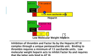 Inhibition of thrombin and Factor Xa by the Heparin/AT III
complex through a unique pentasaccharide unit. Binding to
thrombin requires a minimum of 13 saccharide units. Low
molecular weight heparin acts to inhibit Factor Xa and requires
A T I I I T h r ombi n
5 13 or more saccharide units
Heparin
Lysine
Sites
A T I I I F a c t or X a
5
Low Molecular Weight Heparin
Lysine
Sites
<13
 