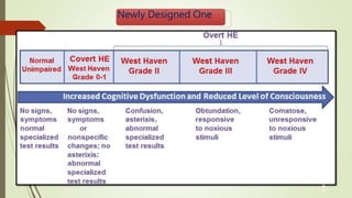 Newly Designed One
2
0
 