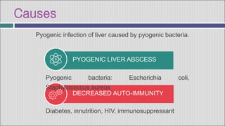 Causes
DECREASED AUTO-IMMUNITY
Diabetes, innutrition, HIV, immunosuppressant
PYOGENIC LIVER ABSCESS
Pyogenic bacteria: Escherichia coli,
Staphylococcus aureus
Pyogenic infection of liver caused by pyogenic bacteria.
 