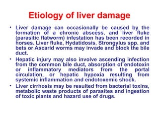 Hepatic affections in equine medicine .ppt