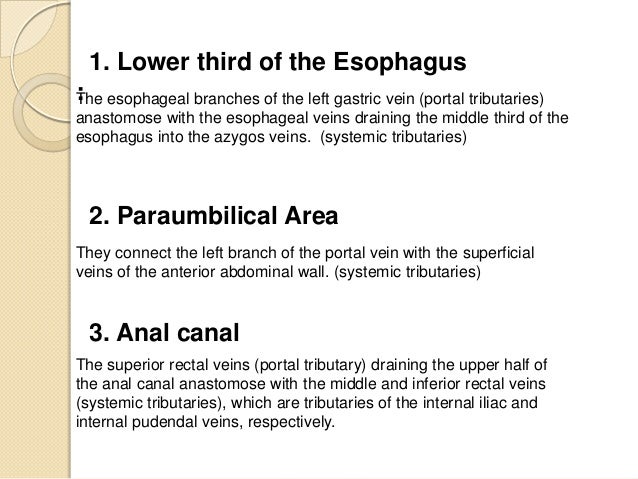 portacaval anastomosis