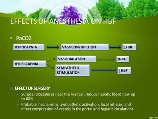 EFFECTS OF ANESTHESIA ON HBF
• PaCO2
HYPOCAPNIA
HYPERCAPNIA
VASOCONSTRICTION ↓HBF
VASODIALATION
SYMPATHETIC
STIMULATION
↓HBF
↑HBF
 EFFECTOFSURGERY
 Surgical procedures near the liver can reduce hepatic blood flow up
to 60%.
 Probable mechanisms: sympathetic activation, local reflexes, and
direct compression of vessels in the portal and hepatic circulations.
 