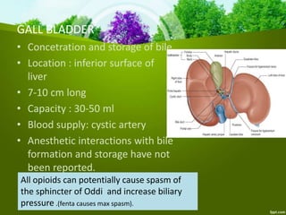 GALL BLADDER
• Concetration and storage of bile
• Location : inferior surface of
liver
• 7-10 cm long
• Capacity : 30-50 ml
• Blood supply: cystic artery
• Anesthetic interactions with bile
formation and storage have not
been reported.
All opioids can potentially cause spasm of
the sphincter of Oddi and increase biliary
pressure .(fenta causes max spasm).
 