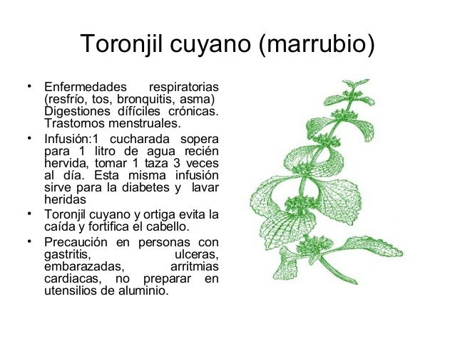 El medio bueno de pushistosti el cabello