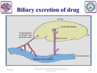 2014/05/17
Faculty of Pharmacy, Omer Al-Mukhtar University,
Tobruk, Libya.
14
Biliary excretion of drug
 