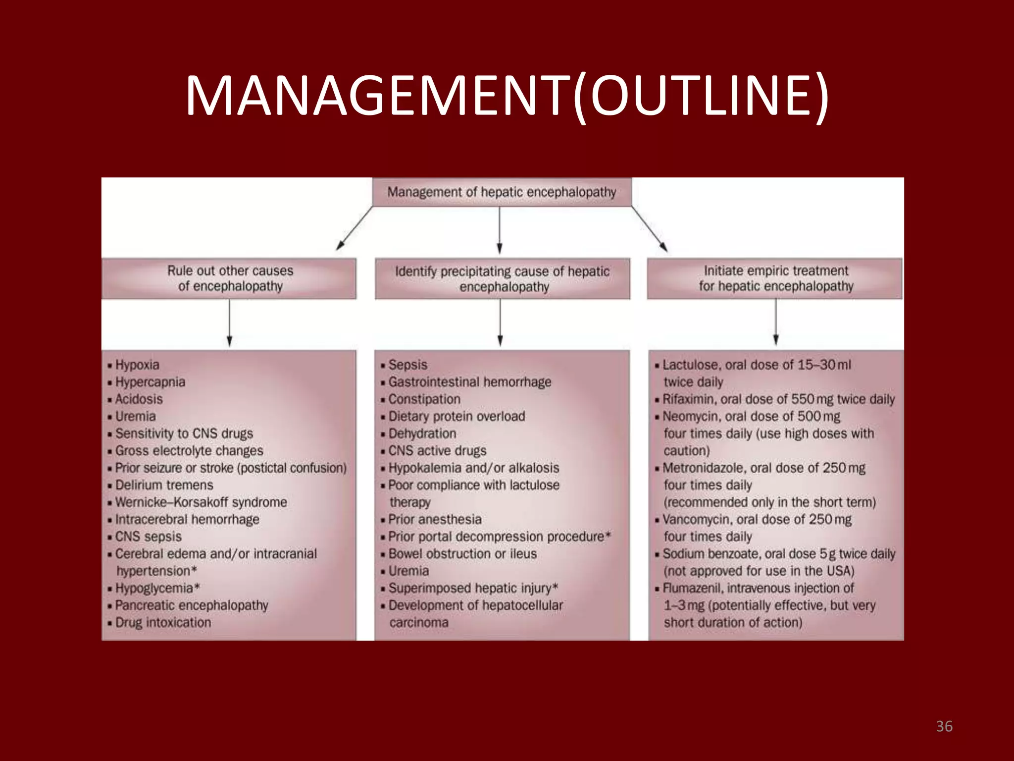 MANAGEMENT(OUTLINE)
36
 