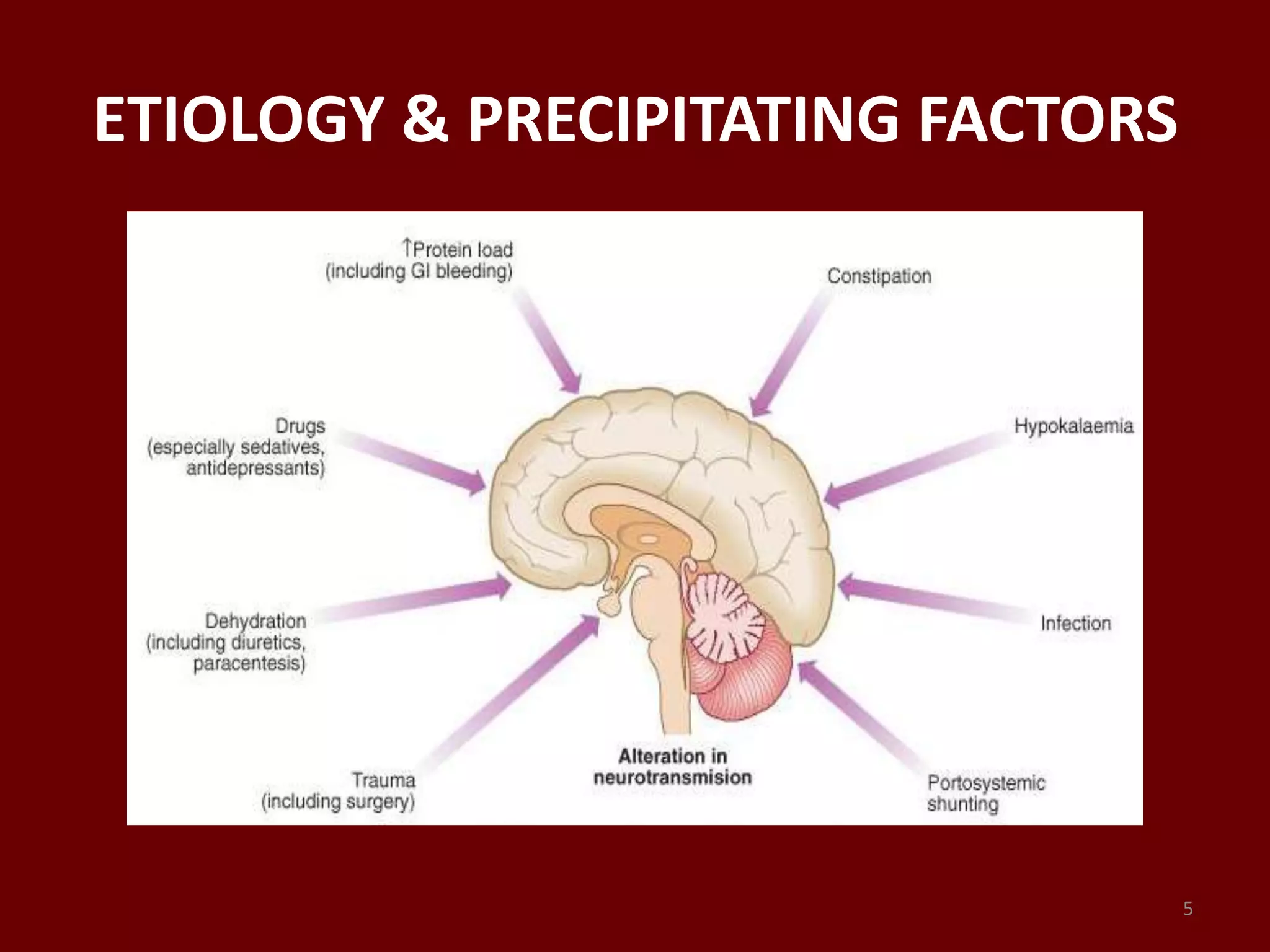 ETIOLOGY & PRECIPITATING FACTORS
5
 