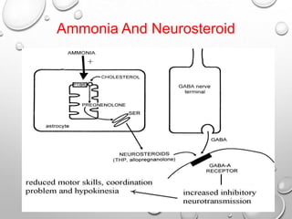 Ammonia And Neurosteroid

 