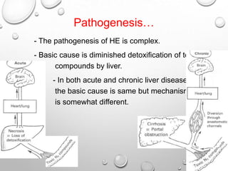 Pathogenesis…
- The pathogenesis of HE is complex.
- Basic cause is diminished detoxification of toxic
compounds by liver.
- In both acute and chronic liver disease,
the basic cause is same but mechanism
is somewhat different.
•

 