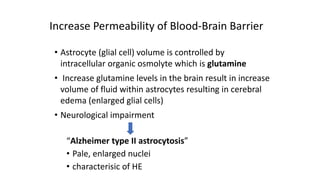 • Astrocyte (glial cell) volume is controlled by
intracellular organic osmolyte which is glutamine
• Increase glutamine levels in the brain result in increase
volume of fluid within astrocytes resulting in cerebral
edema (enlarged glial cells)
• Neurological impairment
“Alzheimer type II astrocytosis”
• Pale, enlarged nuclei
• characterisic of HE
Increase Permeability of Blood-Brain Barrier
 