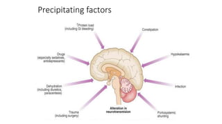 Precipitating factors
 