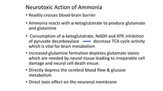 • Readily crosses blood-brain barrier
• Ammonia reacts with α-ketoglutatrate to produce glutamate
and glutamine
• Consumption of α-ketoglutatrate, NADH and ATP, inhibition
of pyruvate decarboxylase decrease TCA cycle activity
which is vital for brain metabolism
• Increased glutamine formation depletes glutamate stores
which are needed by neural tissue leading to irreparable cell
damage and neural cell death ensue.
• Directly depress the cerebral blood flow & glucose
metabolism
• Direct toxic effect on the neuronal membrane
Neurotoxic Action of Ammonia
 