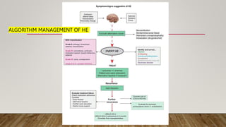 ALGORITHM MANAGEMENT OF HE
 