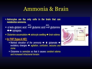 Ammonia & Brain
 