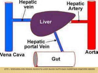 HTTP://WWW.BING.COM/IMAGES/SEARCH?Q=LIVER+BLOOD+SUPPLY&GO=SUBMIT&QS=DS&FORM=QBIDMH
 