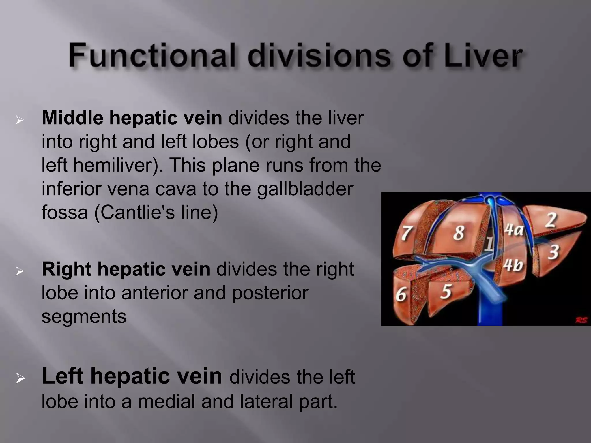  Middle hepatic vein divides the liver
into right and left lobes (or right and
left hemiliver). This plane runs from the
inferior vena cava to the gallbladder
fossa (Cantlie's line)
 Right hepatic vein divides the right
lobe into anterior and posterior
segments
 Left hepatic vein divides the left
lobe into a medial and lateral part.
 
