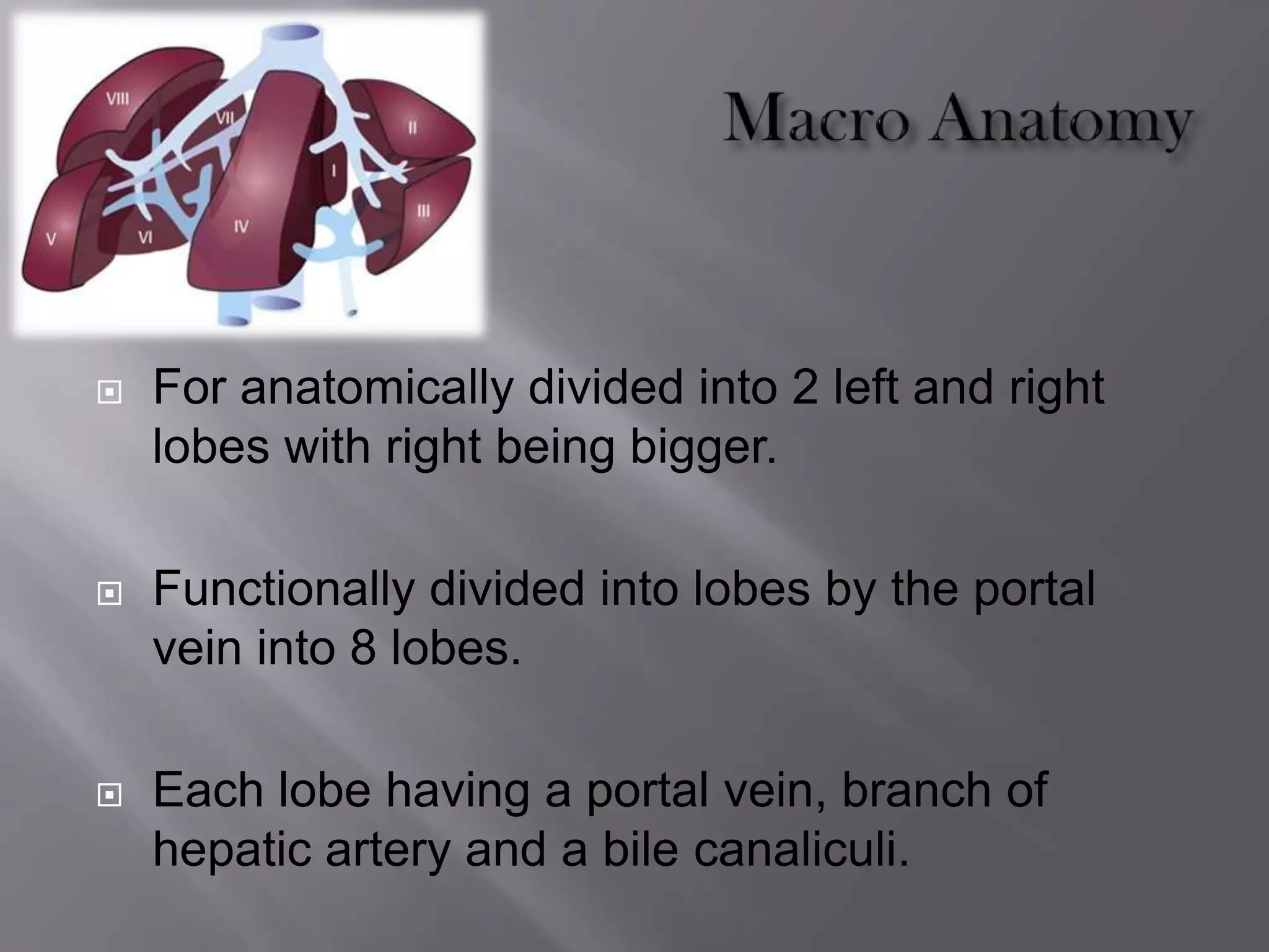 For anatomically divided into 2 left and right
lobes with right being bigger.
 Functionally divided into lobes by the portal
vein into 8 lobes.
 Each lobe having a portal vein, branch of
hepatic artery and a bile canaliculi.
 