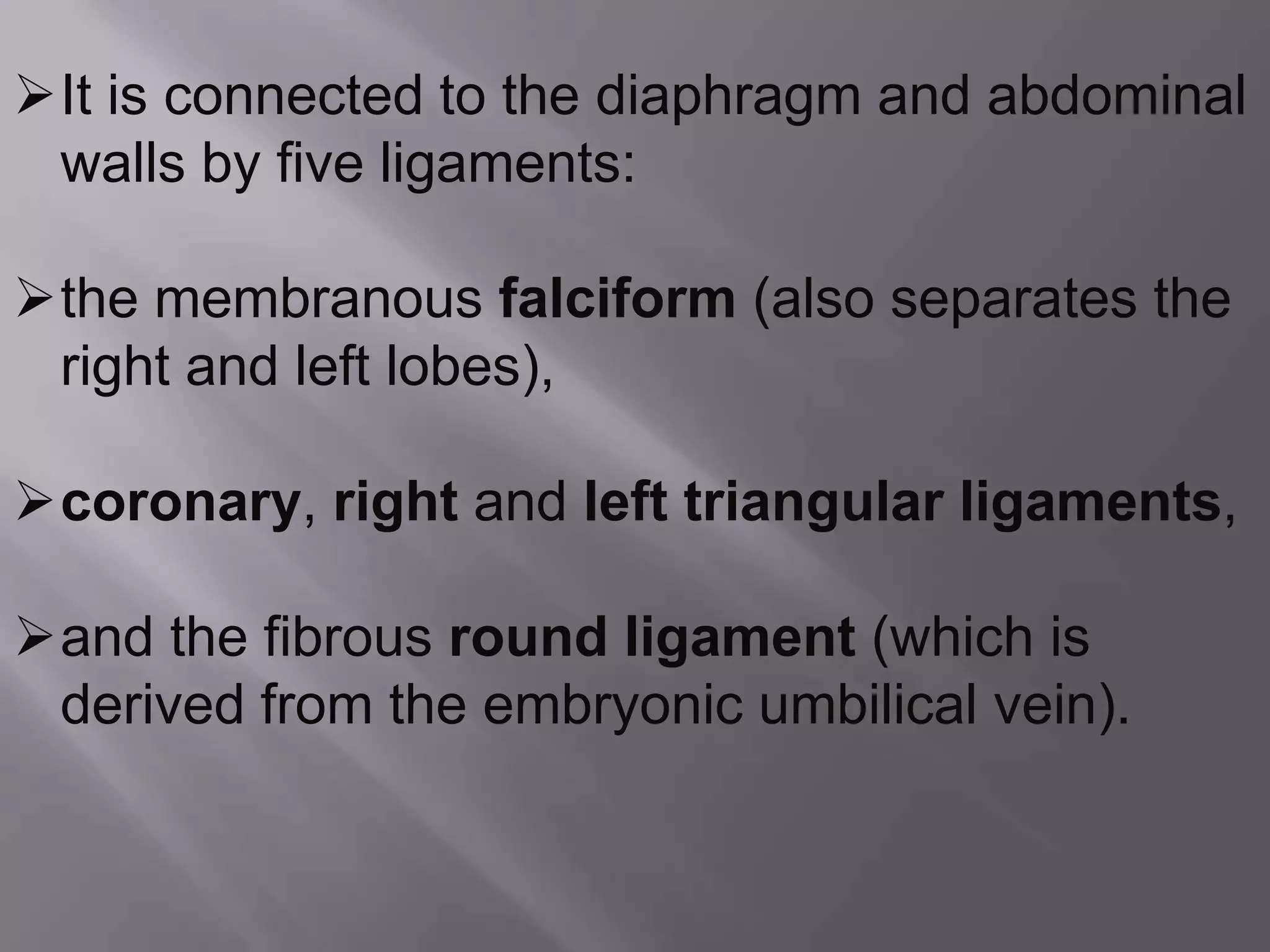 It is connected to the diaphragm and abdominal
walls by five ligaments:
the membranous falciform (also separates the
right and left lobes),
coronary, right and left triangular ligaments,
and the fibrous round ligament (which is
derived from the embryonic umbilical vein).
 