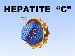 HEPATITE  “C” 