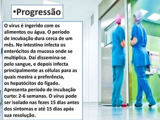•Progressão 
O vírus é ingerido com os 
alimentos ou água. O período 
de incubação dura cerca de um 
mês. No intestino infecta os 
enterócitos da mucosa onde se 
multiplica. Daí dissemina-se 
pelo sangue, e depois infecta 
principalmente as células para as 
quais mostra a preferência, 
os hepatócitos do fígado. 
Apresenta período de incubação 
curto: 2-6 semanas. O vírus pode 
ser isolado nas fezes 15 dias antes 
dos sintomas e até 15 dias após 
sua resolução. 
 