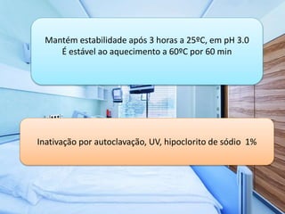 Mantém estabilidade após 3 horas a 25ºC, em pH 3.0 
É estável ao aquecimento a 60ºC por 60 min 
Inativação por autoclavação, UV, hipoclorito de sódio 1% 
 