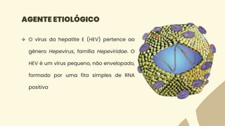 AGENTE ETIOLÓGICO
 O vírus da hepatite E (HEV) pertence ao
gênero Hepevirus, família Hepeviridae. O
HEV é um vírus pequeno, não envelopado,
formado por uma fita simples de RNA
positiva
 