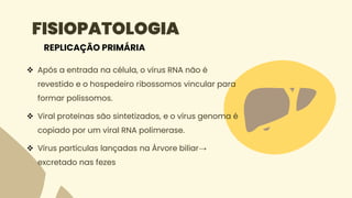 FISIOPATOLOGIA
 Após a entrada na célula, o vírus RNA não é
revestido e o hospedeiro ribossomos vincular para
formar polissomos.
 Viral proteínas são sintetizados, e o vírus genoma é
copiado por um viral RNA polimerase.
 Vírus partículas lançadas na Árvore biliar→
excretado nas fezes
REPLICAÇÃO PRIMÁRIA
 
