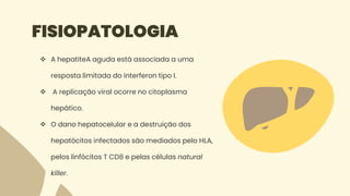 FISIOPATOLOGIA
 A hepatiteA aguda está associada a uma
resposta limitada do interferon tipo I.
 A replicação viral ocorre no citoplasma
hepático.
 O dano hepatocelular e a destruição dos
hepatócitos infectados são mediados pelo HLA,
pelos linfócitos T CD8 e pelas células natural
killer.
 