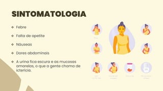 SINTOMATOLOGIA
 Febre
 Falta de apetite
 Náuseas
 Dores abdominais
 A urina fica escura e as mucosas
amarelas, o que a gente chama de
icterícia.
 