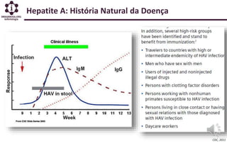 Hepatite A: História Natural da Doença
CDC, 2011
 