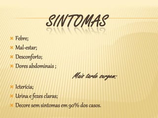 SINTOMAS
 Febre;
 Mal-estar;
 Desconforto;
 Dores abdominais ;

                          Mais tarde surgem:
 Icterícia;
 Urina e fezes claras;
 Decore sem sintomas em 90% dos casos.
 