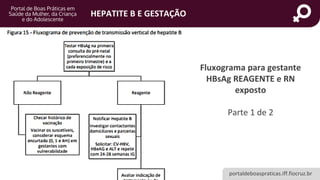 portaldeboaspraticas.iff.fiocruz.br
HEPATITE B E GESTAÇÃO
Fluxograma para gestante
HBsAg REAGENTE e RN
exposto
Parte 1 de 2
 