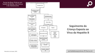 portaldeboaspraticas.iff.fiocruz.br
HEPATITE B E GESTAÇÃO
Seguimento da
Criança Exposta ao
Vírus da Hepatite B
Ministério da Saúde, 2020.
 