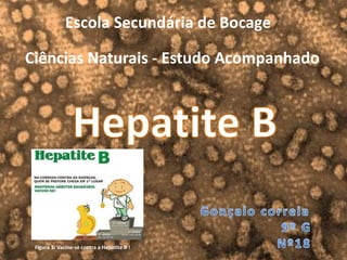 Escola Secundária de Bocage
Ciências Naturais - Estudo Acompanhado
Figura 1: Vacine-se contra a Hepatite B !
 