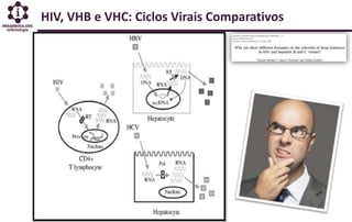 HIV, VHB e VHC: Ciclos Virais Comparativos
 