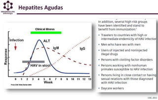 Hepatites Agudas
CDC, 2011
 