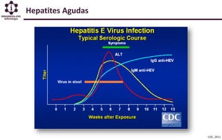 Hepatites Agudas
CDC, 2011
 
