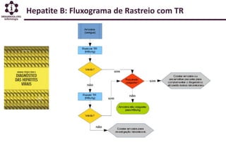 Hepatite B: Fluxograma de Rastreio com TR
 