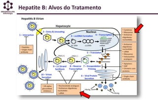 Hepatite B: Alvos do Tratamento
 