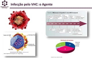 Infecção pelo VHC: o Agente
 