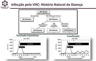 Infecção pelo VHC: História Natural da Doença
Resolução Espontânea Cronificação
+
 
